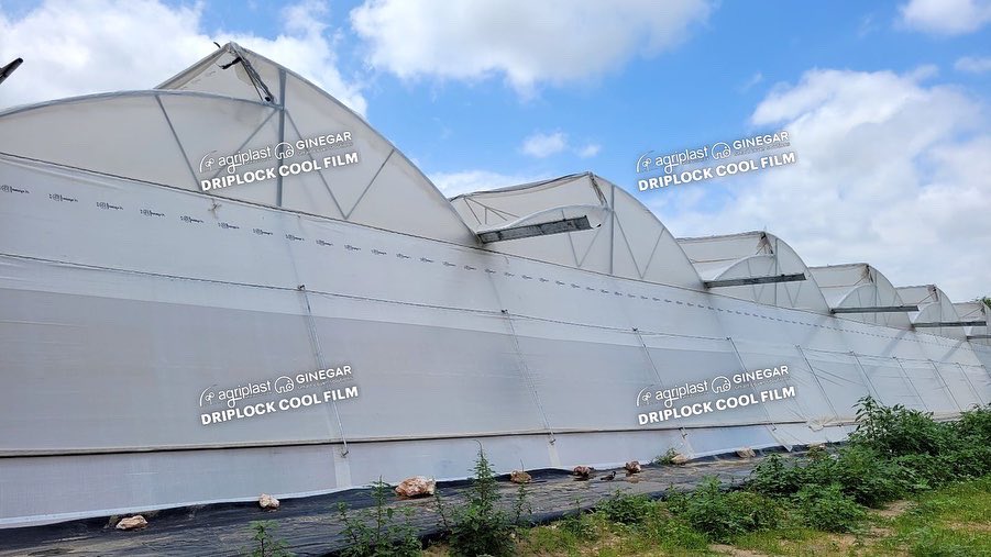 Agriplast Tech India Pvt Ltd tweet media