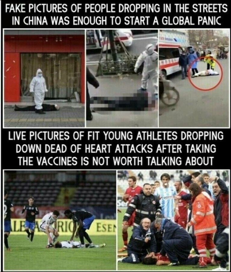 David Wolfe tweet media