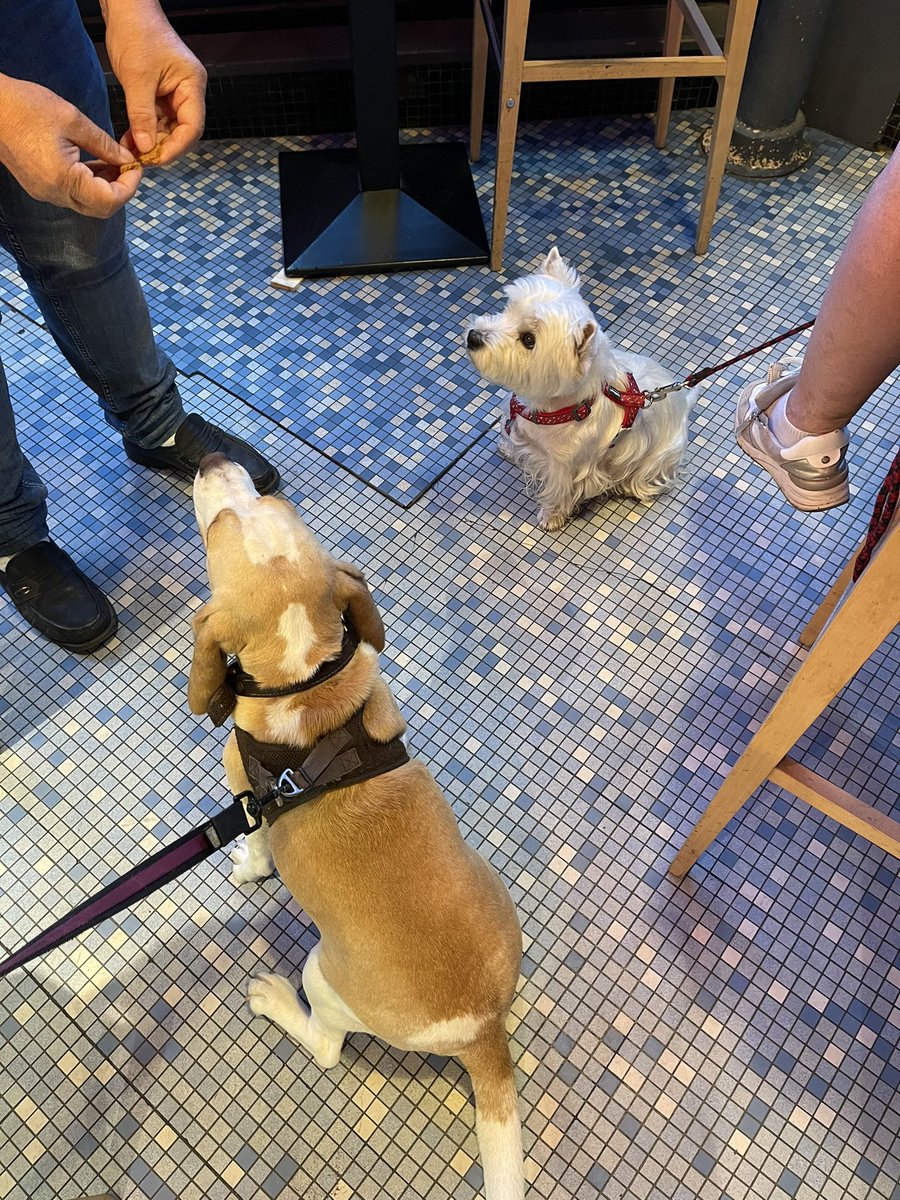 CoquineRizzo's tweet photo. Petite rencontre chez tontons Raynald et Stéphane … le bistrot aux sublimes spéculos https://t.co/vR360LmIqG