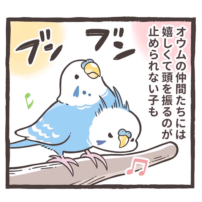 インスタにトリ扱い説明書をアップしました⤴️🐥

鳥さんのキモチについて描いています✨
↓↓
https://t.co/LgQn2qf92C 