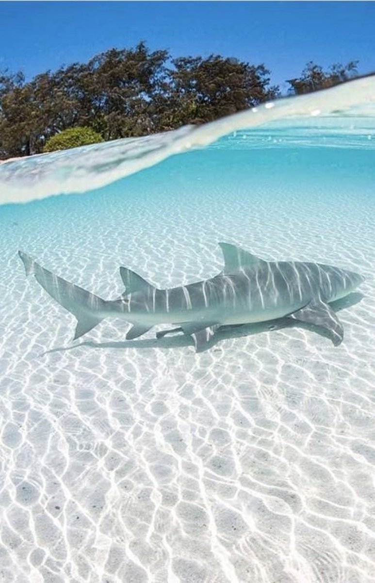 skippy puddin (@puddinskippyy) on Twitter photo 