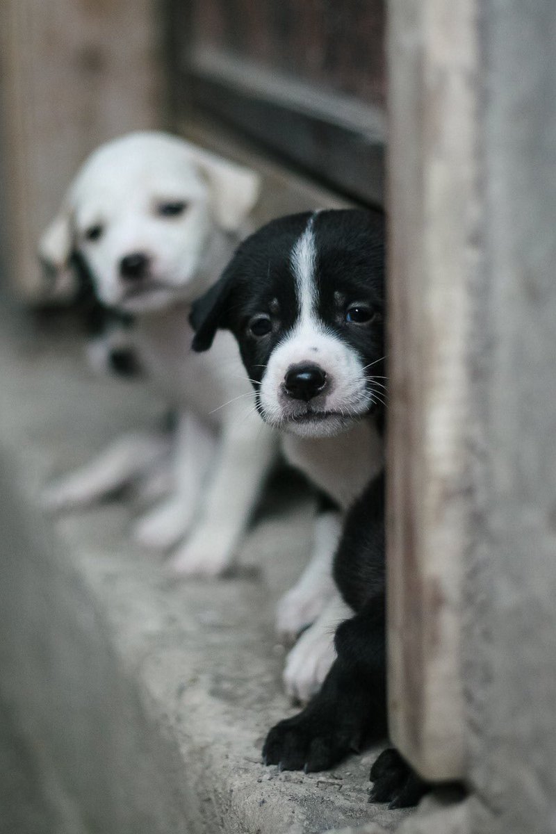 skippy puddin (@puddinskippyy) on Twitter photo 