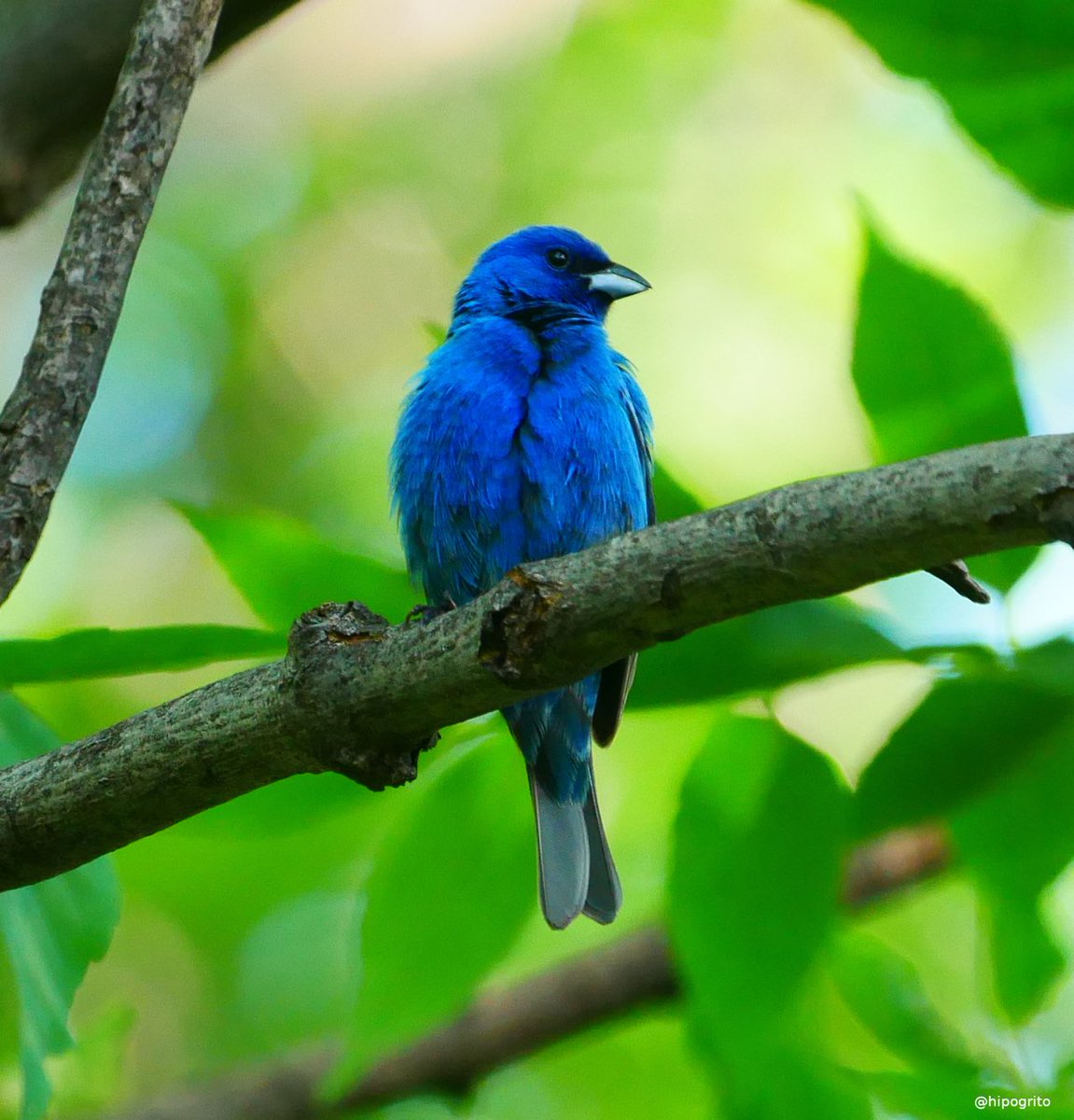 skippy puddin (@puddinskippyy) on Twitter photo 