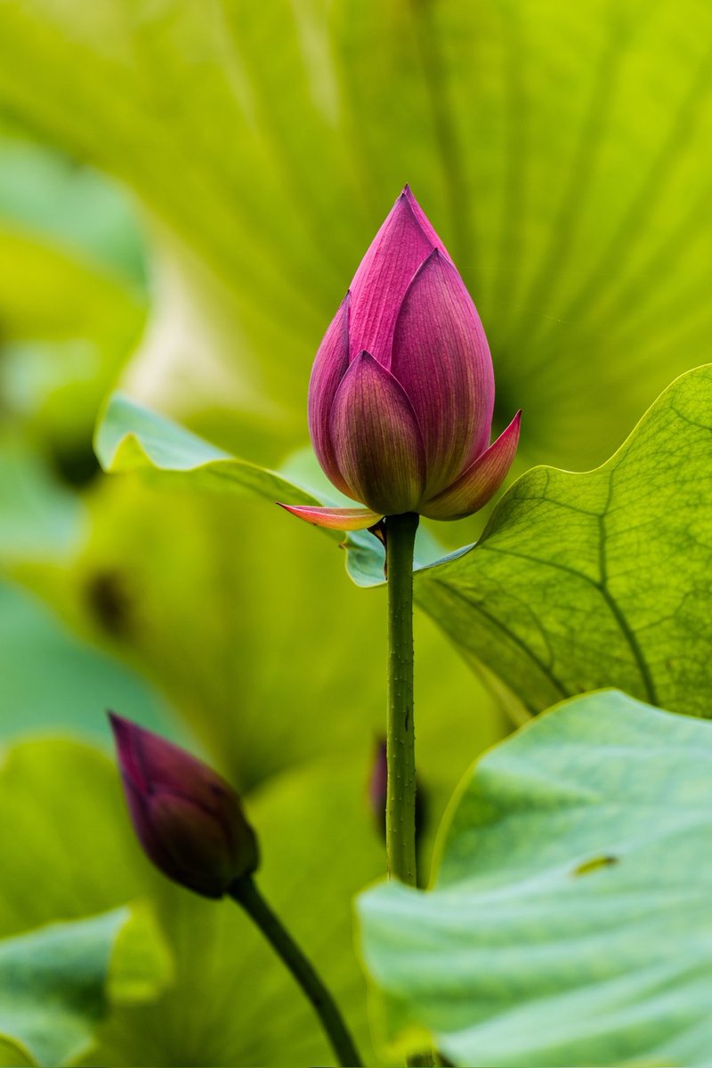 skippy puddin (@puddinskippyy) on Twitter photo 