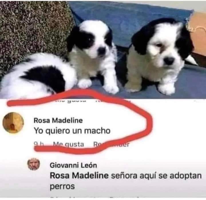 dannitrick's tweet photo. Jajajaajajaa 🥲 https://t.co/ULDJUw5LKN
