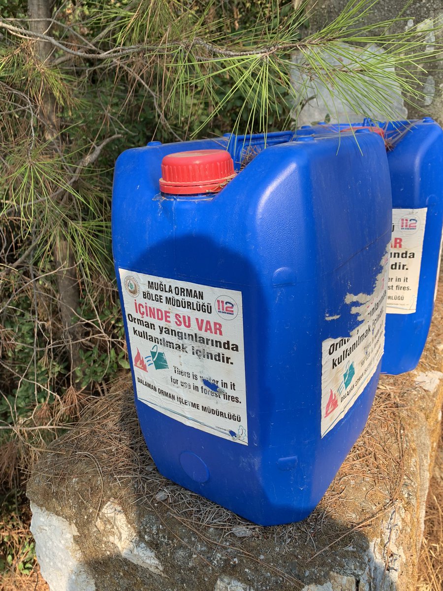 Orman yangınları ile mücadele için dahiyane çözüm👌