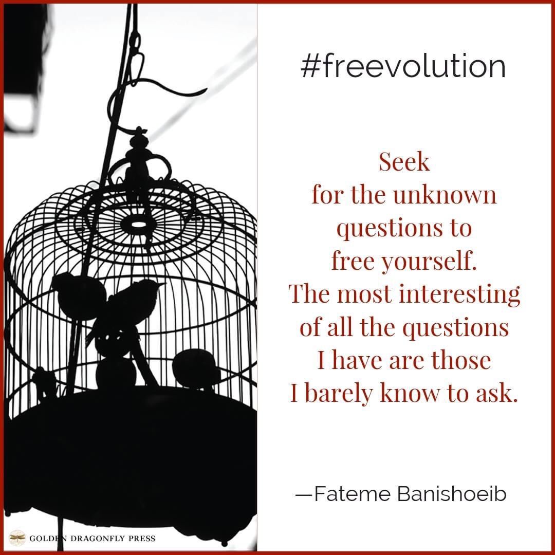 FBanishoeib's tweet photo. ask different questions.
An excerpt from #Freevolution. https://t.co/7nF15RZvbU