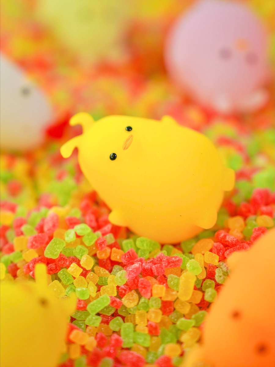 taica_gel_piyo's tweet photo. 9月3日は #グミの日 🌈
グミのカラフルでプニプニした食感、ゲルぴよに似てるピヨ〜✨🐣
#ぷにっとゲルぴよ #ひよこ #ニワトリ #ゆるキャラ #フレンズ #友達 #カラフル #グミ #GUMMIT #お菓子 #カメラ https://t.co/i8y0AStVNr