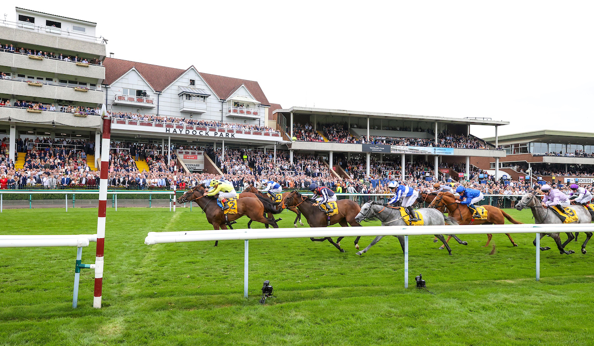 Haydock Park Races tweet media