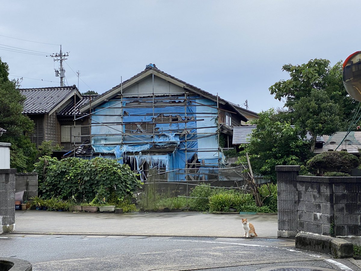 Yiwen (@tictac1016) on Twitter photo 