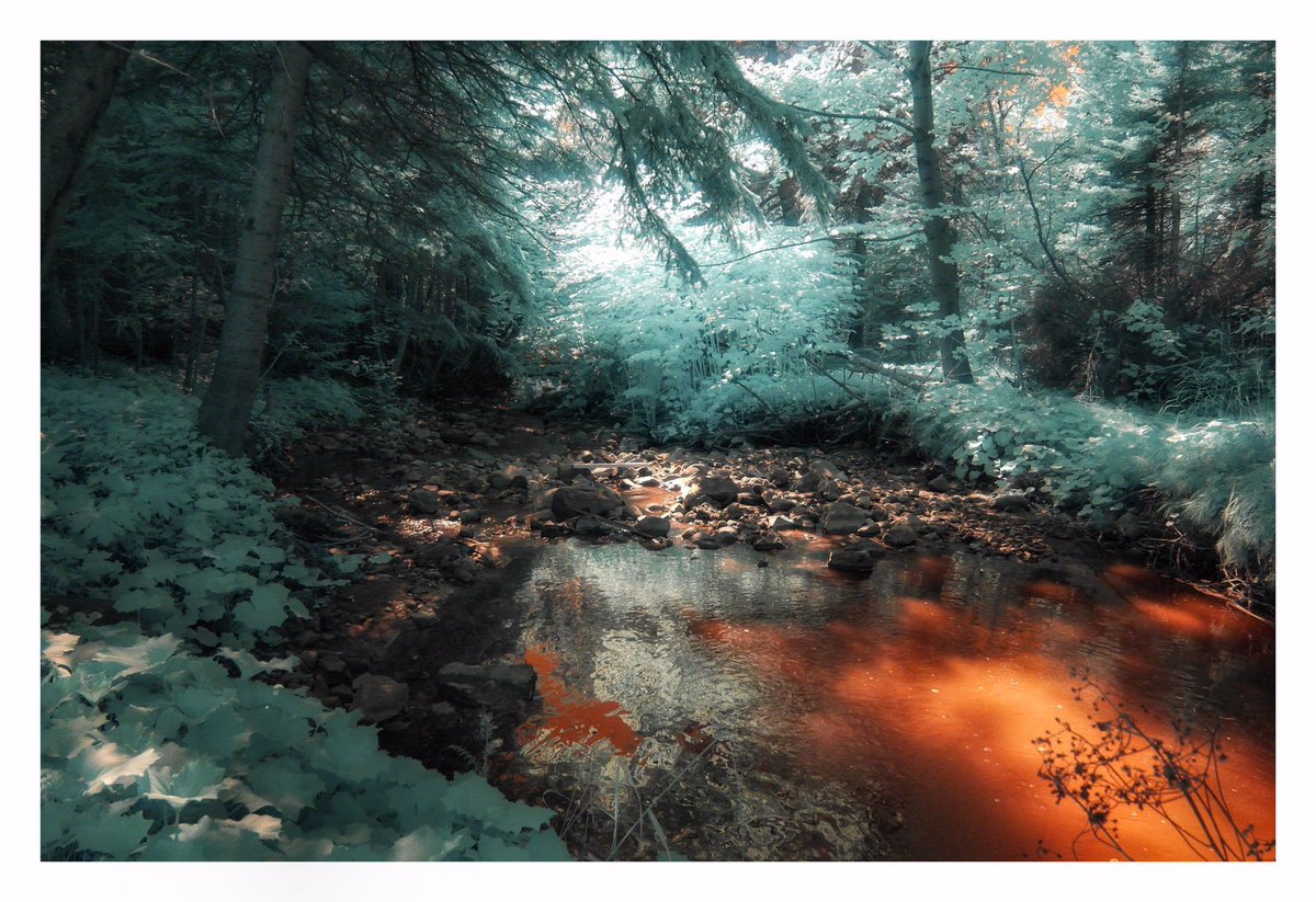 From the Archives: Infrared photo from 2013 taken with an IR converted Samsung NX100 camera. #infrared #infrared_images #infrared_photography #irphotography #irphotographer #infraredlandscape #landscape #landscapephotography #forest #woods #stream #brook