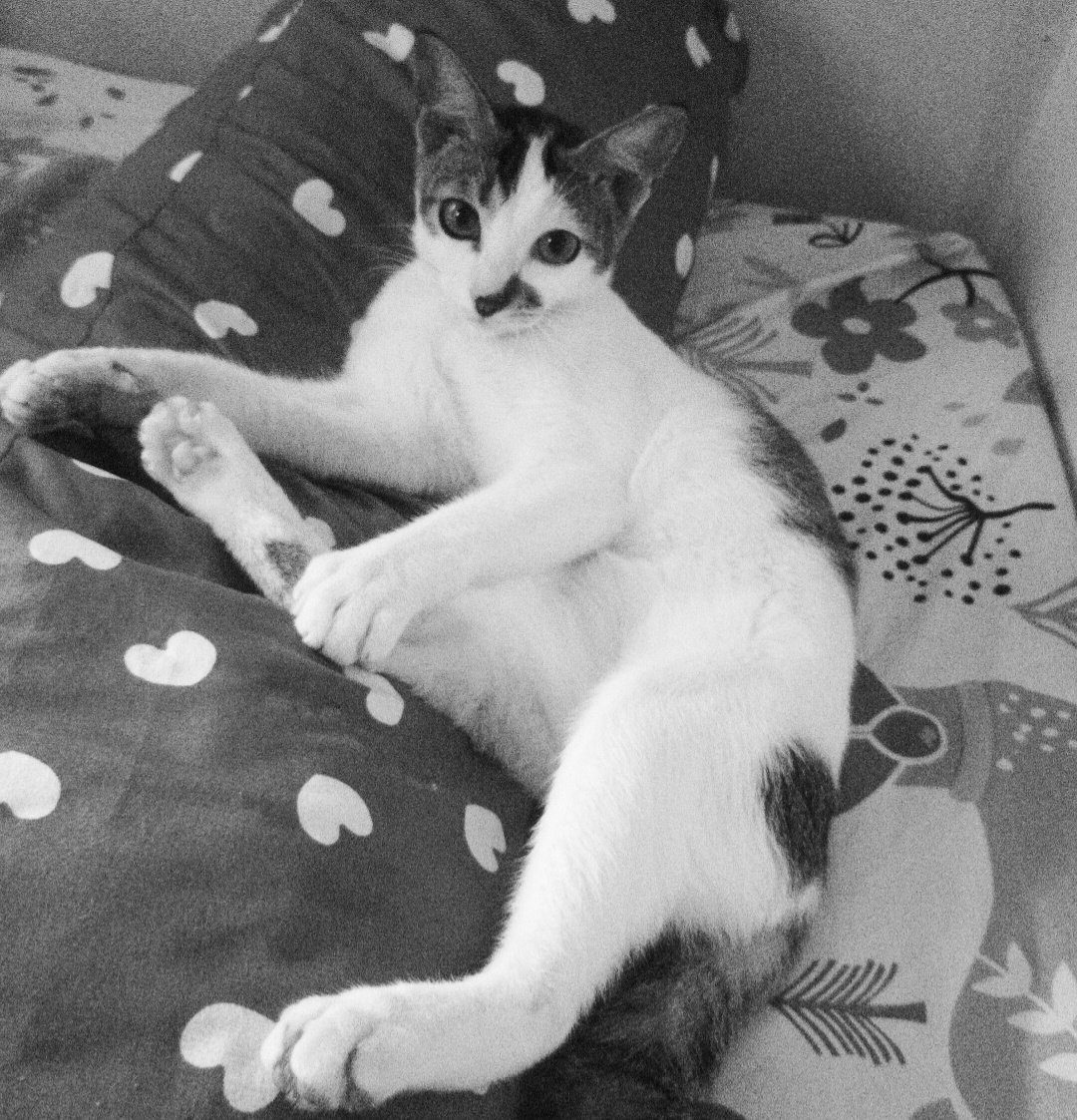 Im gonna miss you. Oi.