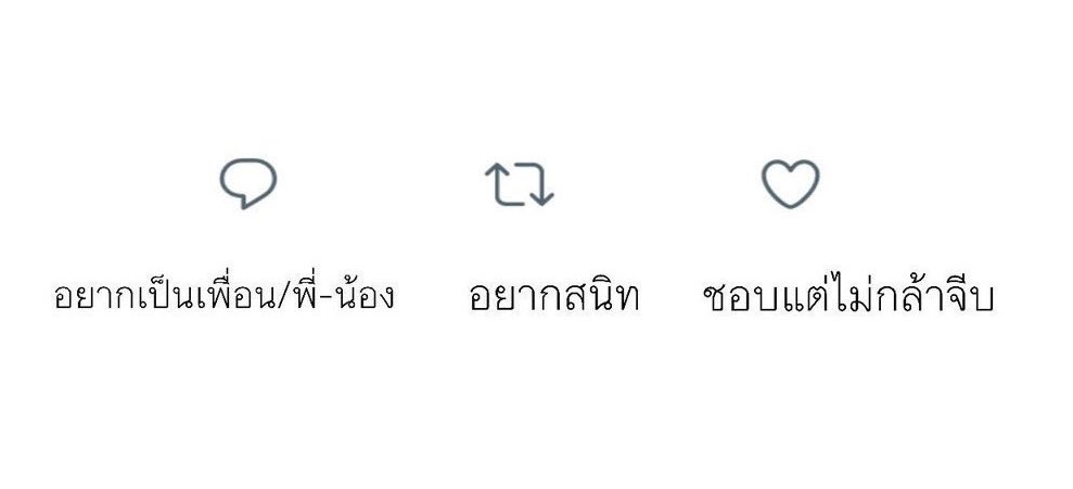 your tweet media