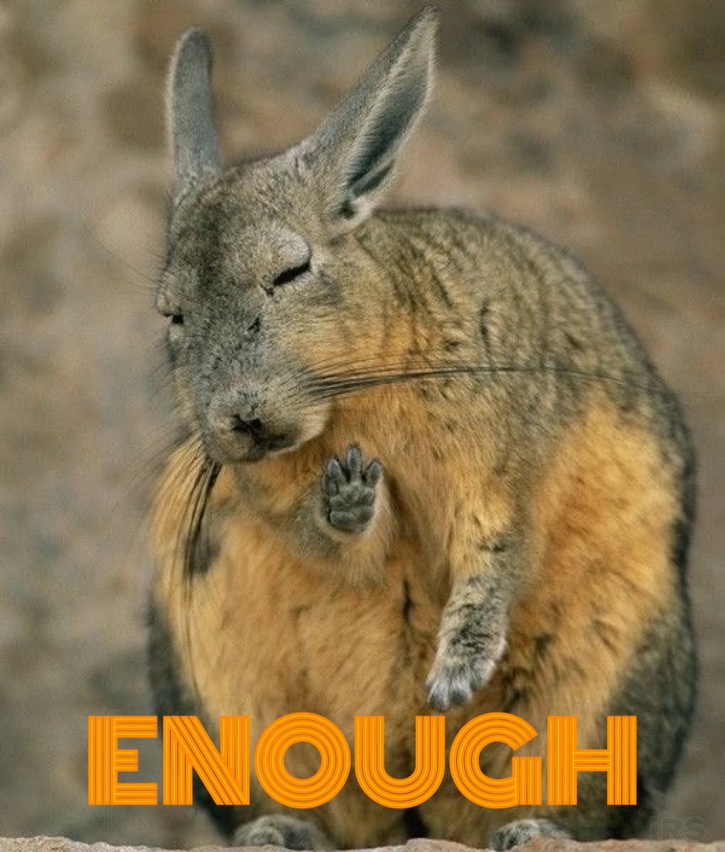 𝕚𝕃𝕃 ʀᴇꜱᴏʟᴠᴇ 𝗦𝘆𝘀𝘁𝗲𝗺 tweet media