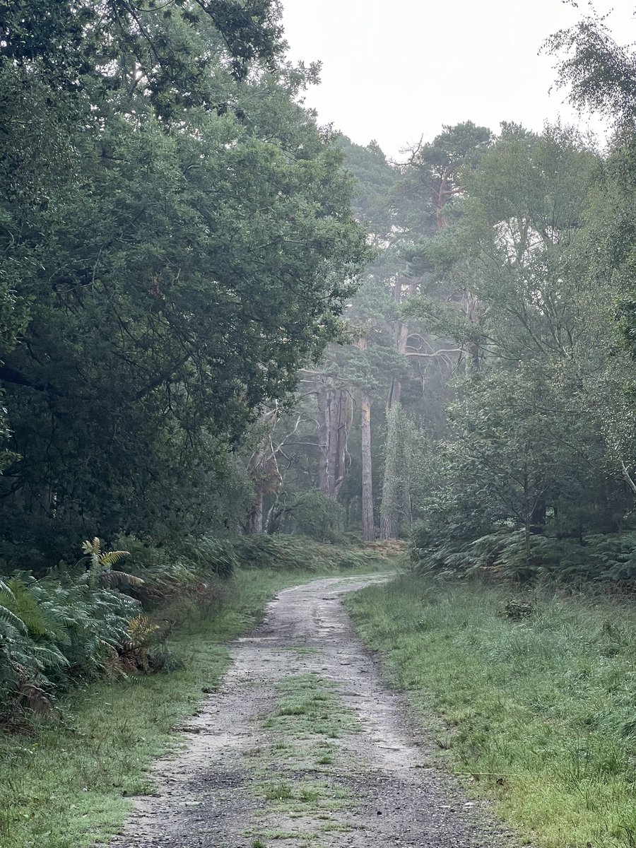 8th Worthing Sea Scouts tweet media