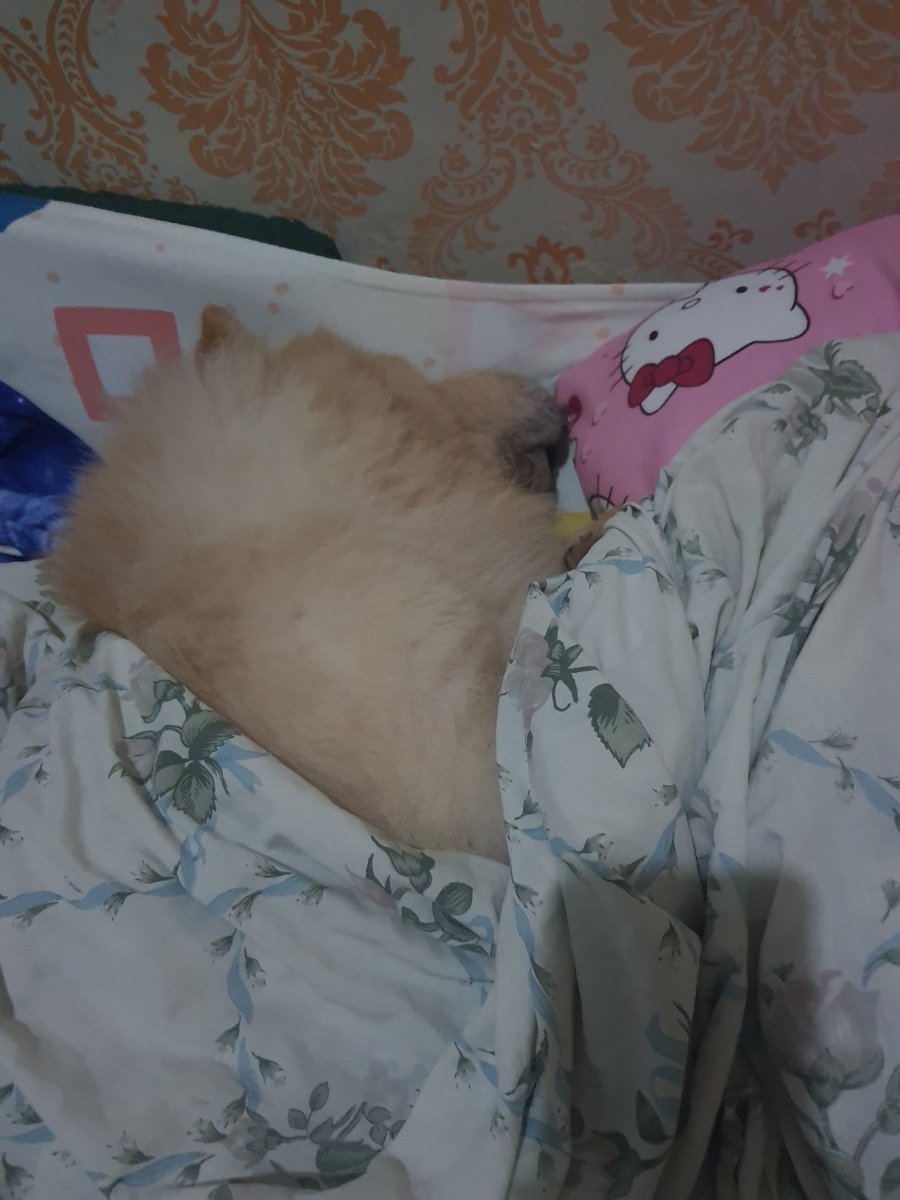 wendy_obar's tweet photo. Hala may baboy https://t.co/8arc9lckqj