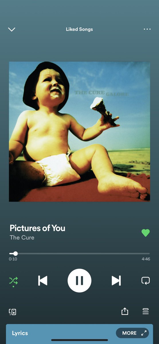 ༺ mia ༻ tweet media