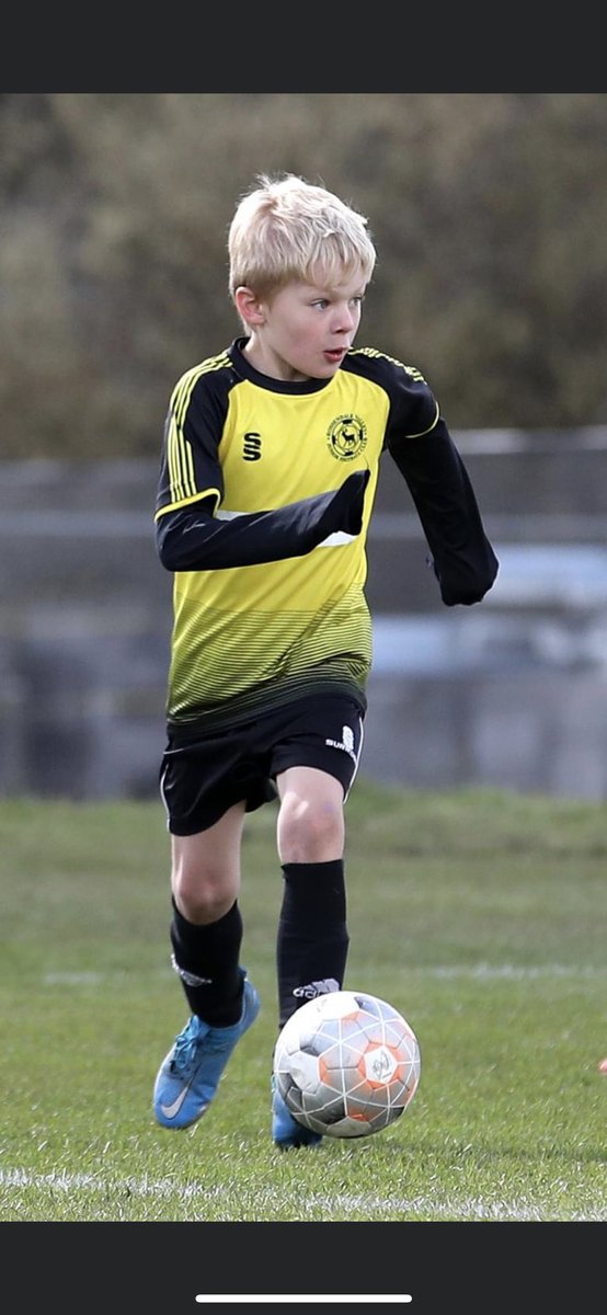 Chris Willan tweet media