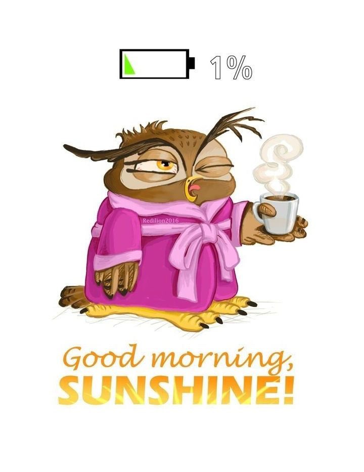 Good morning 😎☕️