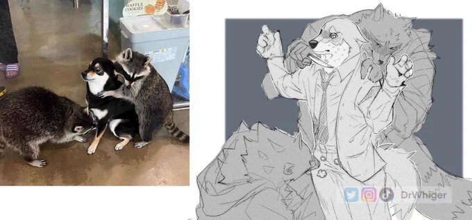 Thief boi 