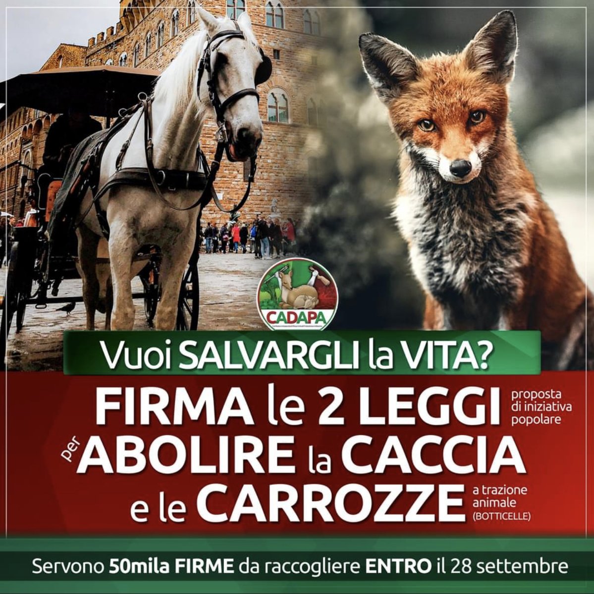 FERMA LA VIOLENZA SUGLI ANIMALI !
➡️ Questo il Link per firmare le 2 proposte di legge👇🏼
cadapa.it/firma-online/

Portiamo in Parlamento la loro voce. FIRMA per due Proposte di Legge di iniziativa Popolare per ABOLIRE la #CACCIA e le #BOTTICELLE  
CaDaPa.it