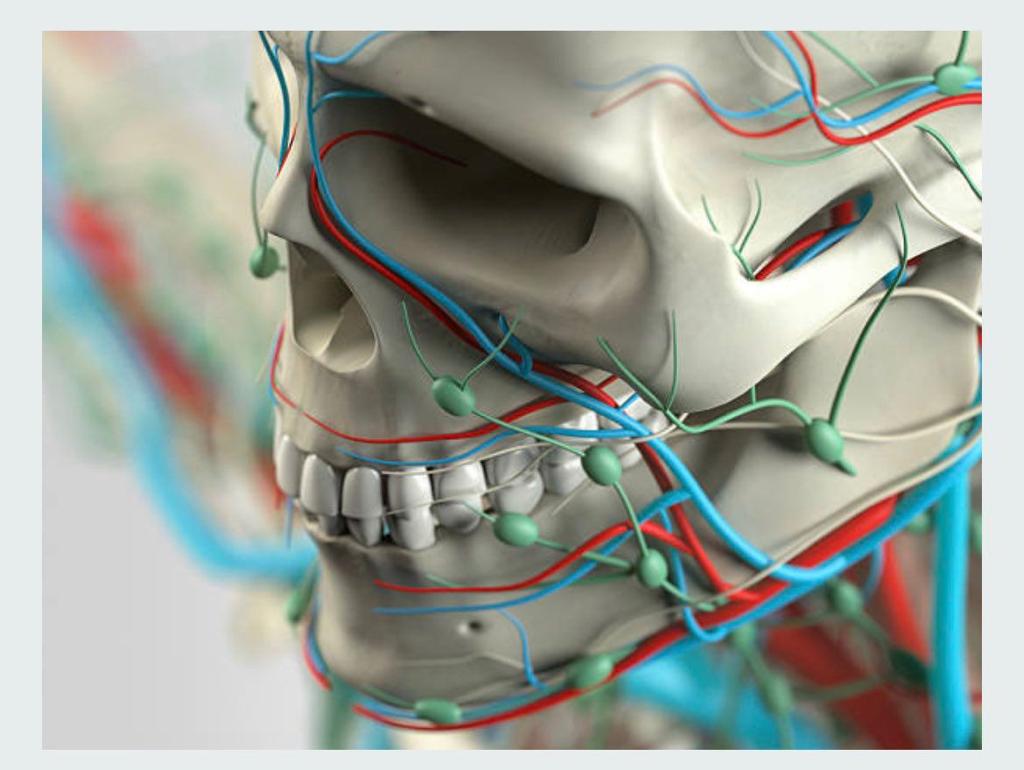 La anatomía humana es una de las áreas más importantes de las ciencias biológicas.

Aquí una colección de libros en PDF de anatomía, para conocer la estructura y complejidad del cuerpo humano, totalmente gratis. 

✅ edciencia.me/2VqJoHW