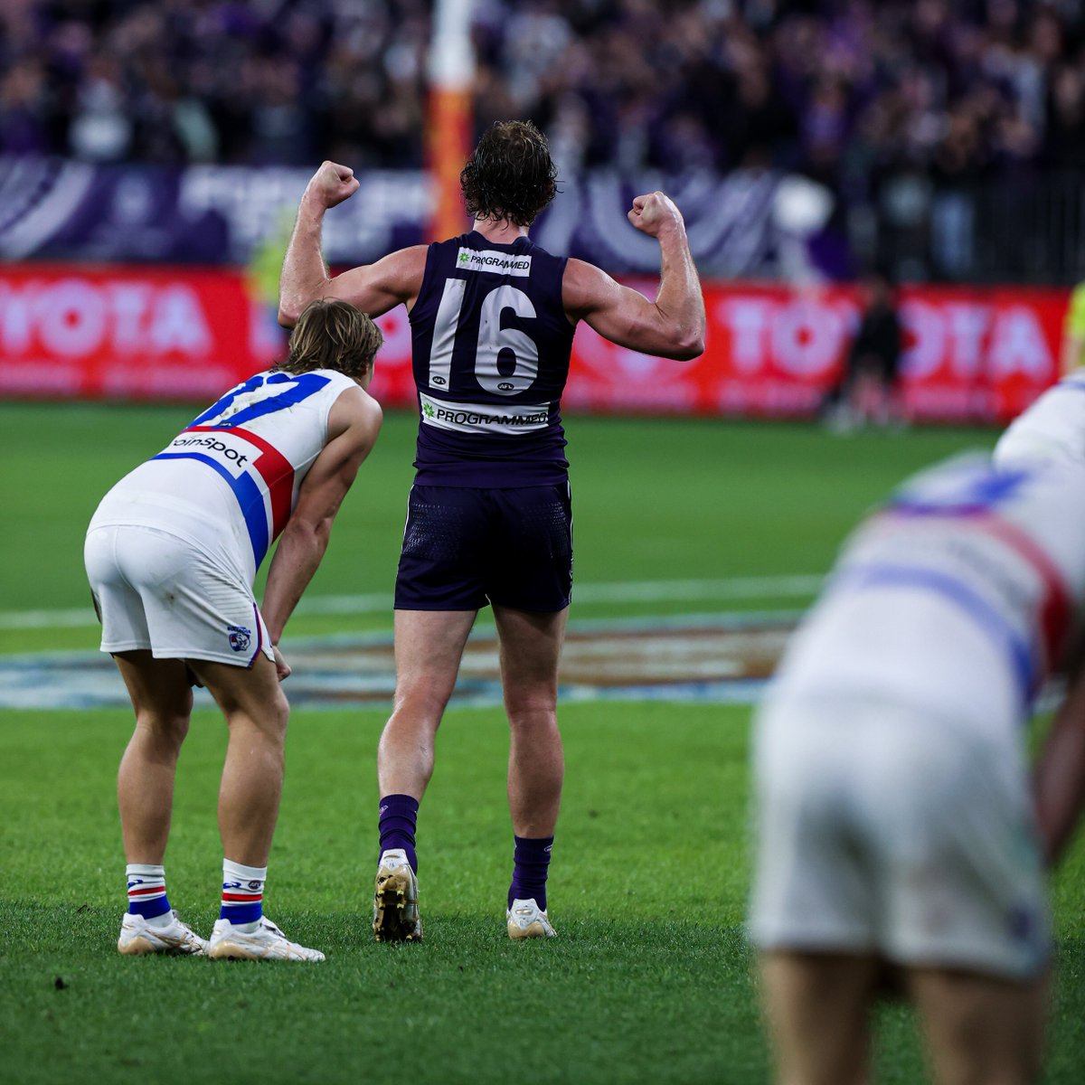 freodockers's tweet image. Three to go. #foreverfreo #DoItForDave