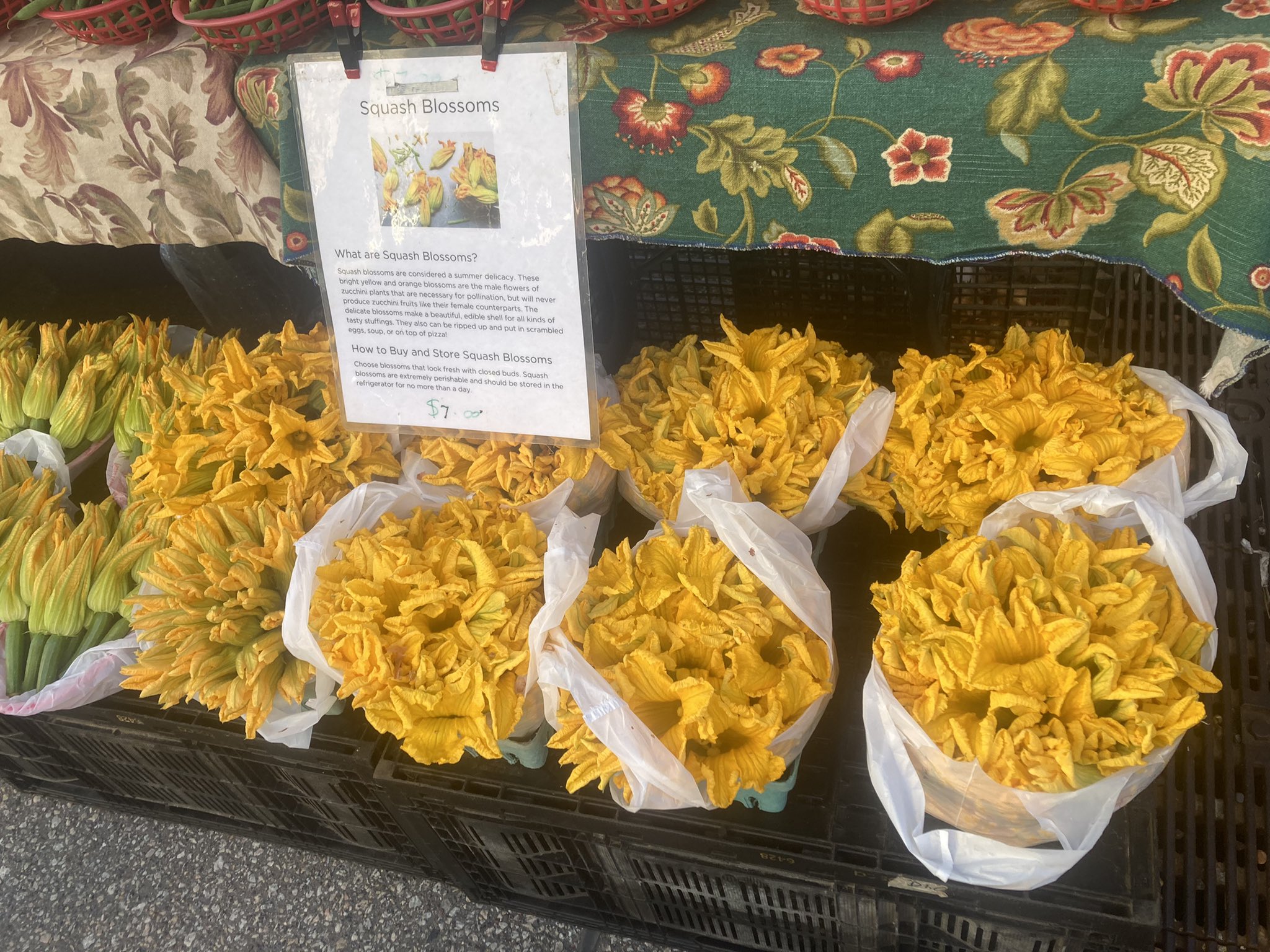 Dara Moskowitz Grumdahl on Twitter "Perfect farmers market morning —and it’s squash blossom