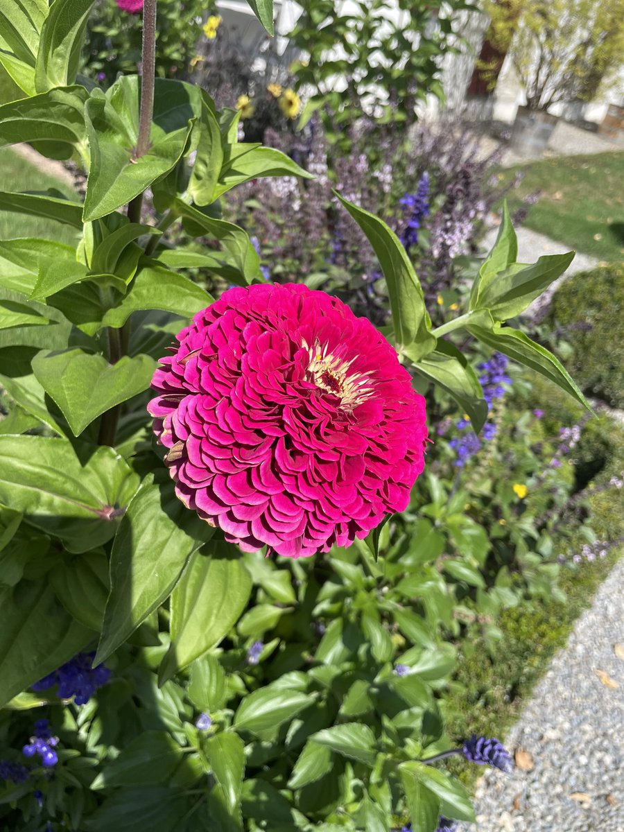 ObstriN's tweet image. #NFTCommunity #nft #NFTGiveaway #nftswiss #nftphotography #NFTs #NFTProject