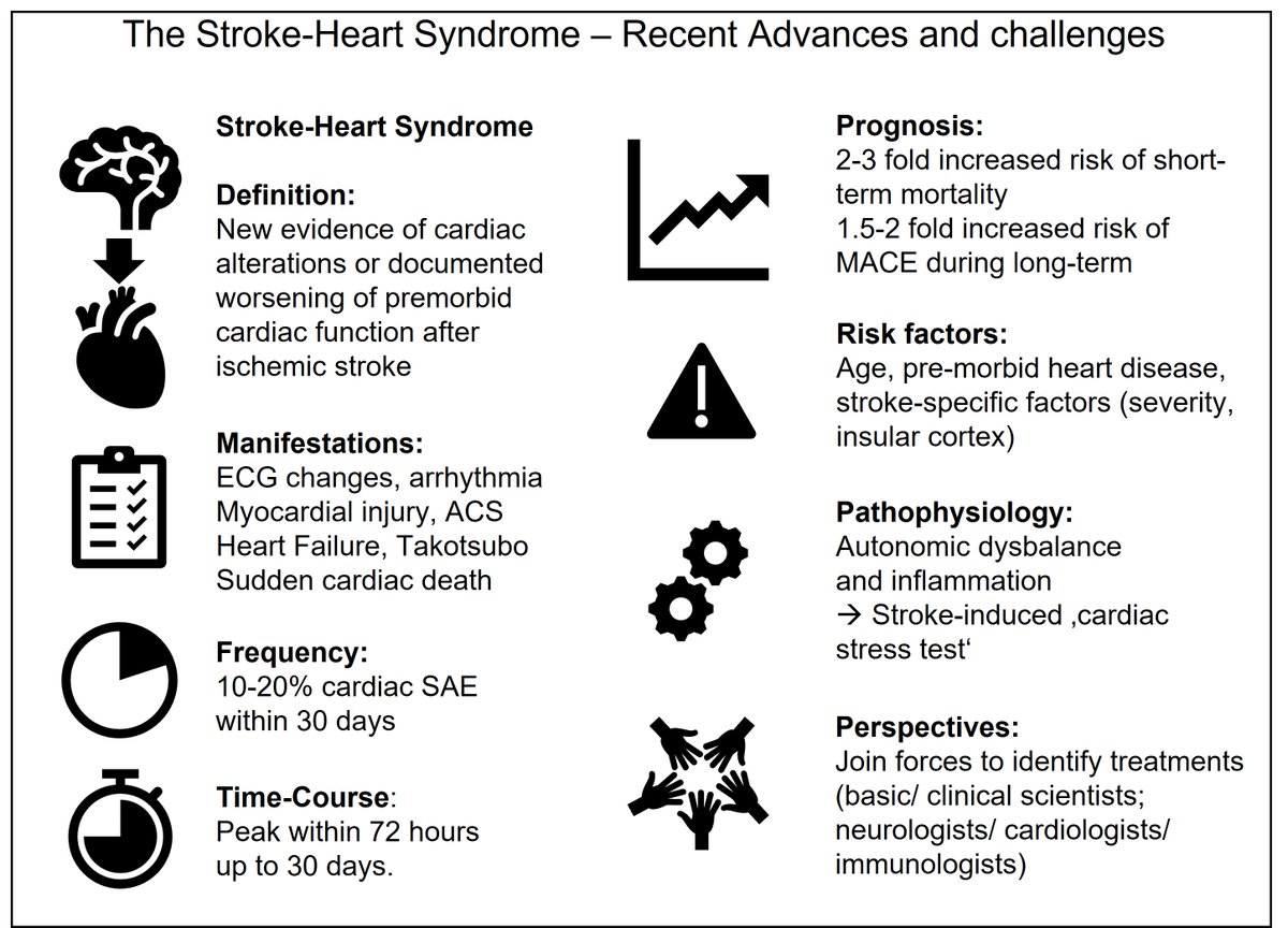 Jan_FriSch's tweet photo. Proud to share our updated review about the stroke-heart syndrome. Read more about recent advances on how brain ischemia can trigger cardiac events. https://t.co/ywJs2JbZht Many thanks to @SposatoL, @JohannesBacks and @Dr_No_Charite for your contribution! #brainheart #strokeheart https://t.co/3IV9LU7fJN