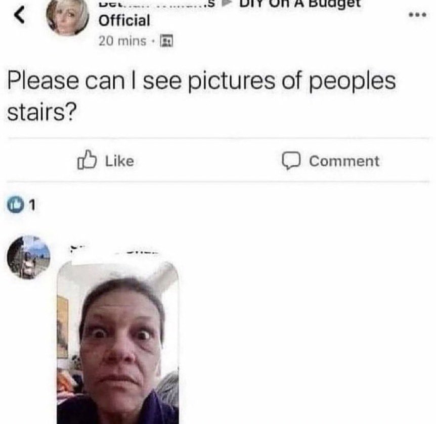 •ᴗ-.com tweet media