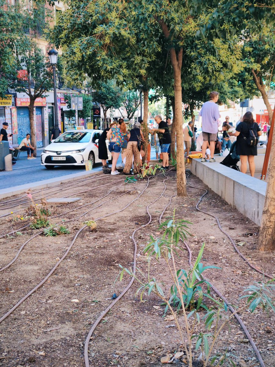 madridnofrills's tweet photo. Yesterday, without warning, the @MADRID council pulled out and threw away the neighborhood garden on Plaza Lavapiés claiming it to be an illegal occupation of public space. They binned vines of baby tomatoes, flowers &amp; cacti in an act of institutional vandalism. https://t.co/W29VJ0Bn4u