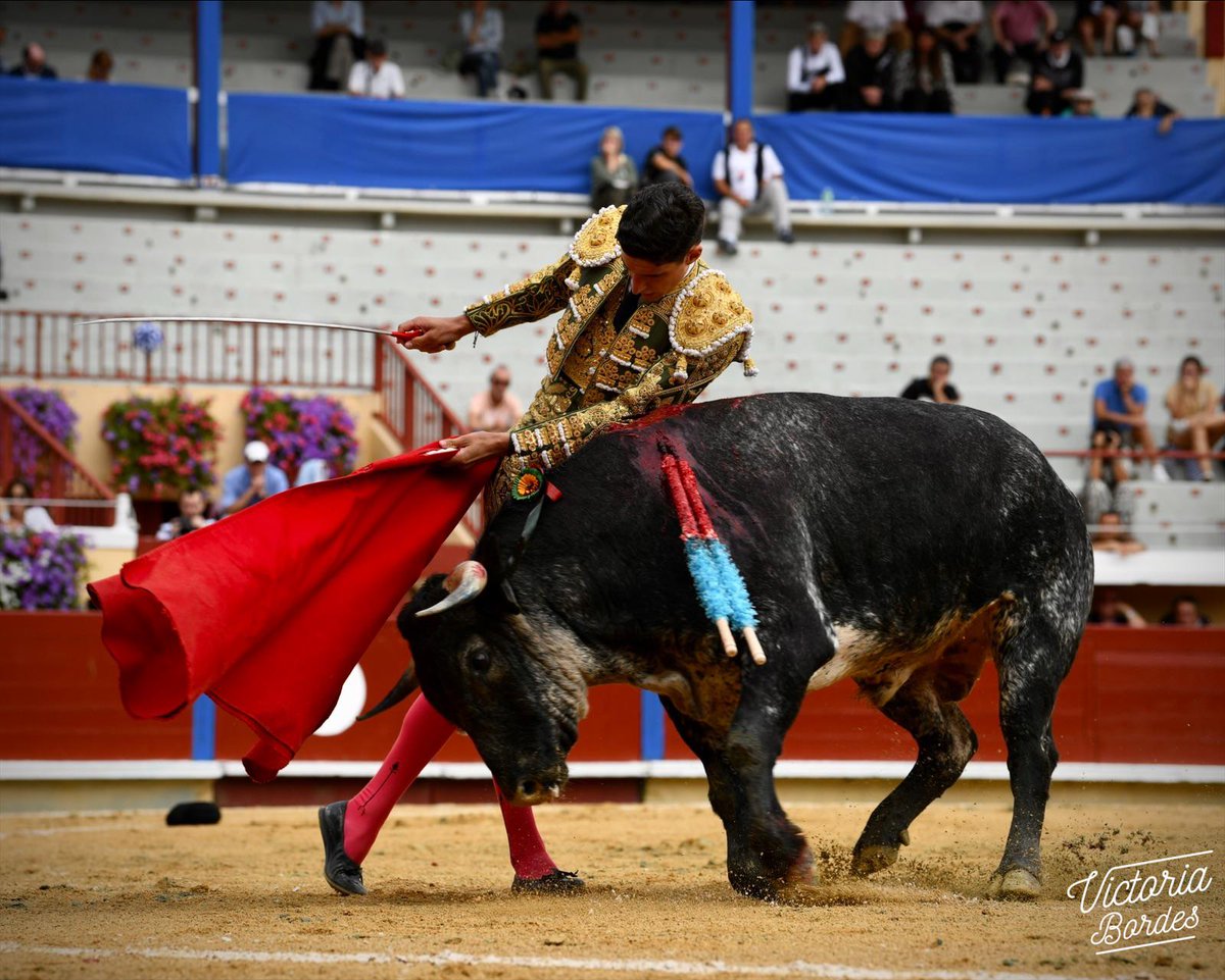 Yon Lamothe tweet media