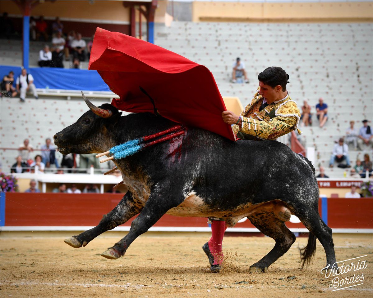 Yon Lamothe tweet media