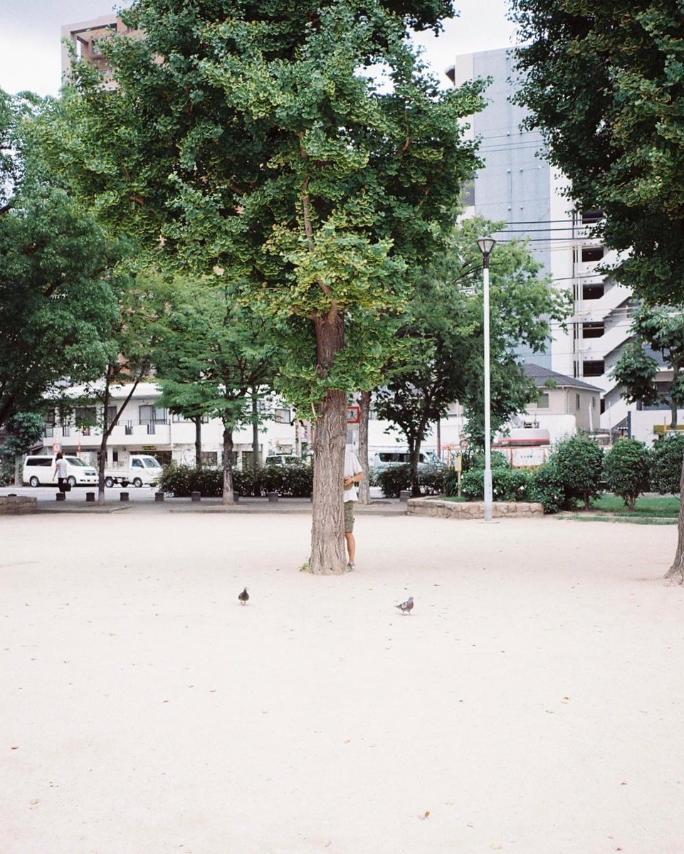 emia_jp tweet picture