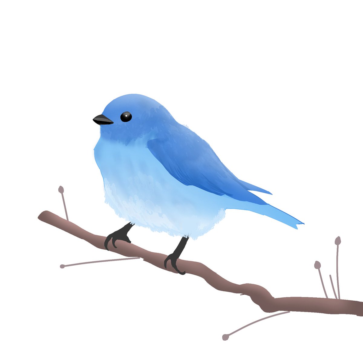 Hey guys ♥️ ♥️ ♥️

Meet the blue mountain bird 🐦 ❤️

I'm having a buy 1 get 2 free offer right ♥️
Price floor - 0.006 #ETH

Let's find him his home ❤️