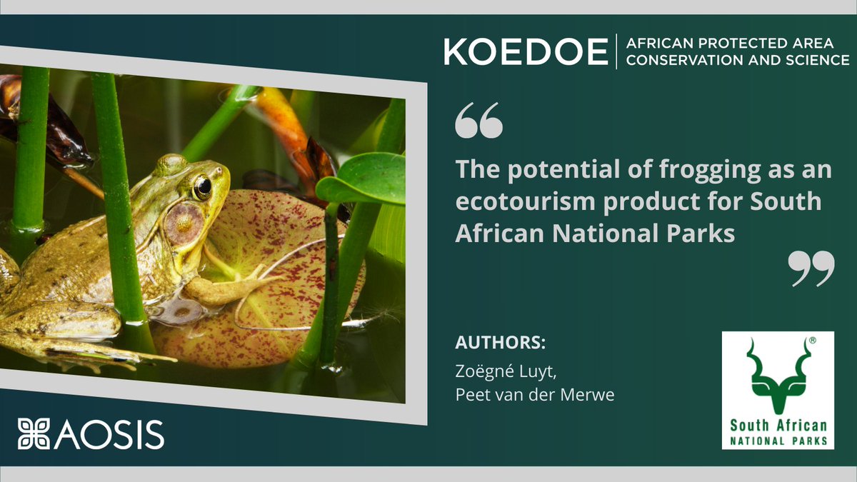 Koedoe: Protected Area Science and Management (@koedoejournal) on Twitter photo Original Research Published in <a href="/KoedoeJournal/">Koedoe: Protected Area Science and Management</a>
Title: The potential of frogging as an ecotourism product for South African National Parks
Download the article: bit.ly/3Rd60Uj
Authors: Zoëgné Luyt, Peet van der Merwe (<a href="/theNWU/">NWU - North-West University</a>)
Affiliation: <a href="/SANParks/">SANParks</a>
<a href="/_AOSIS/">AOSIS</a> Original Research Published in <a href="/KoedoeJournal/">Koedoe: Protected Area Science and Management</a>
Title: The potential of frogging as an ecotourism product for South African National Parks
Download the article: bit.ly/3Rd60Uj
Authors: Zoëgné Luyt, Peet van der Merwe (<a href="/theNWU/">NWU - North-West University</a>)
Affiliation: <a href="/SANParks/">SANParks</a>
<a href="/_AOSIS/">AOSIS</a>