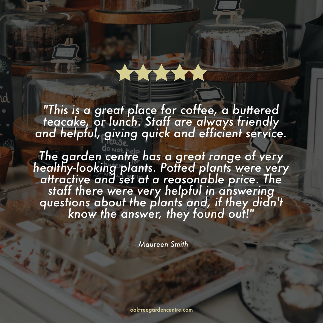 Not sure what to do this weekend? 🤔⁠
⁠
Why not come and visit us in-store to explore our extensive plant selection, plus stop and have a cup of coffee at the Potting Shed Cafe! 💜⁠
⁠
We are open today from 8 am until 5 pm 😄