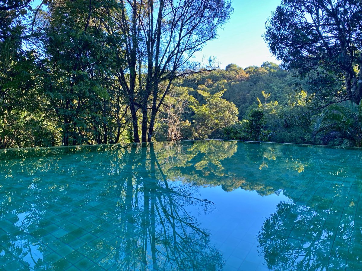 TasteWithRobin's tweet photo. Beautiful, Raw & Wild… #SereneJourneys weekend in one of the eight hotspots of #biodiversity in the world - the #rainforests of the #WesternGhats in Lakkidi, North Kerala with Wayanad Wild- @CGH_Earth.
©📸
#travelinspiration #traveldesigner #weekendvibes #travel #Wilderness https://t.co/22CdX9vhgD