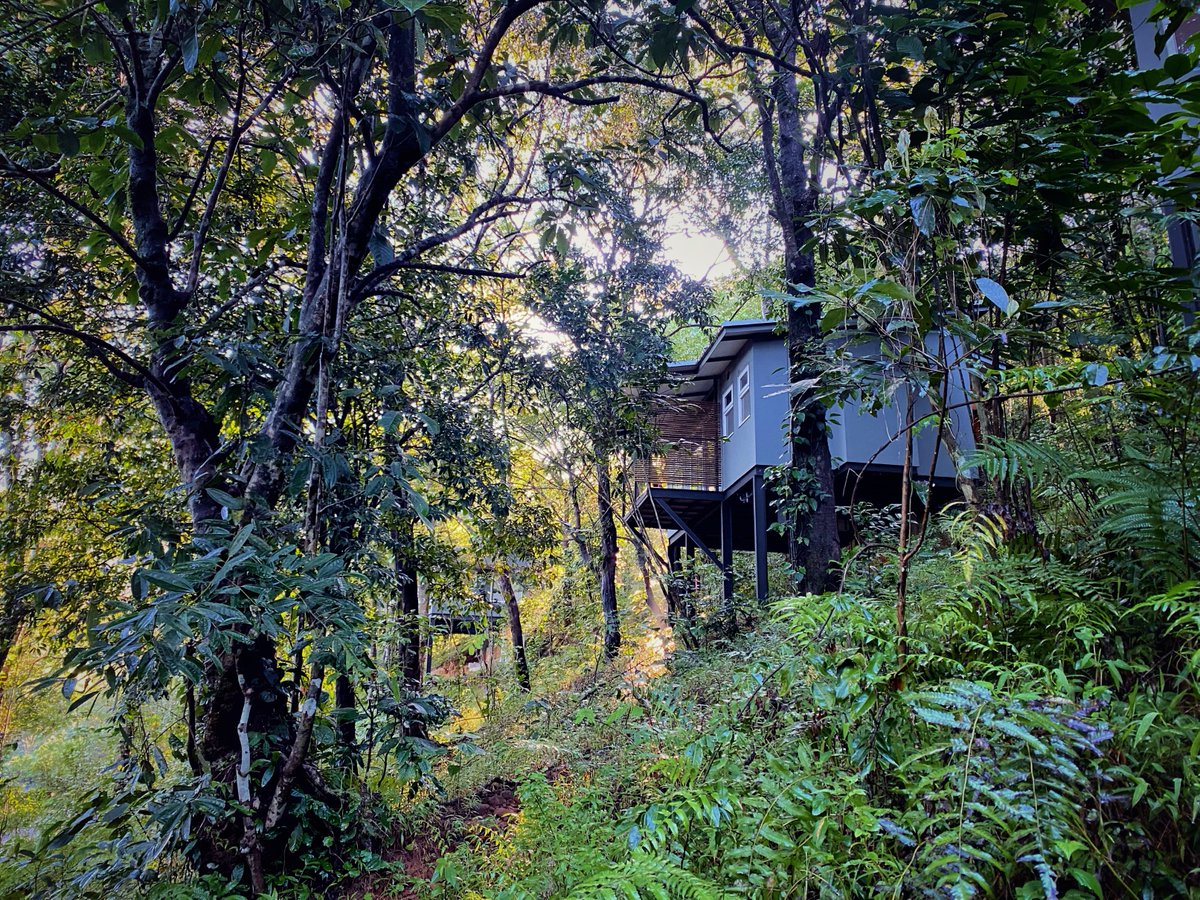 TasteWithRobin's tweet photo. Beautiful, Raw & Wild… #SereneJourneys weekend in one of the eight hotspots of #biodiversity in the world - the #rainforests of the #WesternGhats in Lakkidi, North Kerala with Wayanad Wild- @CGH_Earth.
©📸
#travelinspiration #traveldesigner #weekendvibes #travel #Wilderness https://t.co/22CdX9vhgD
