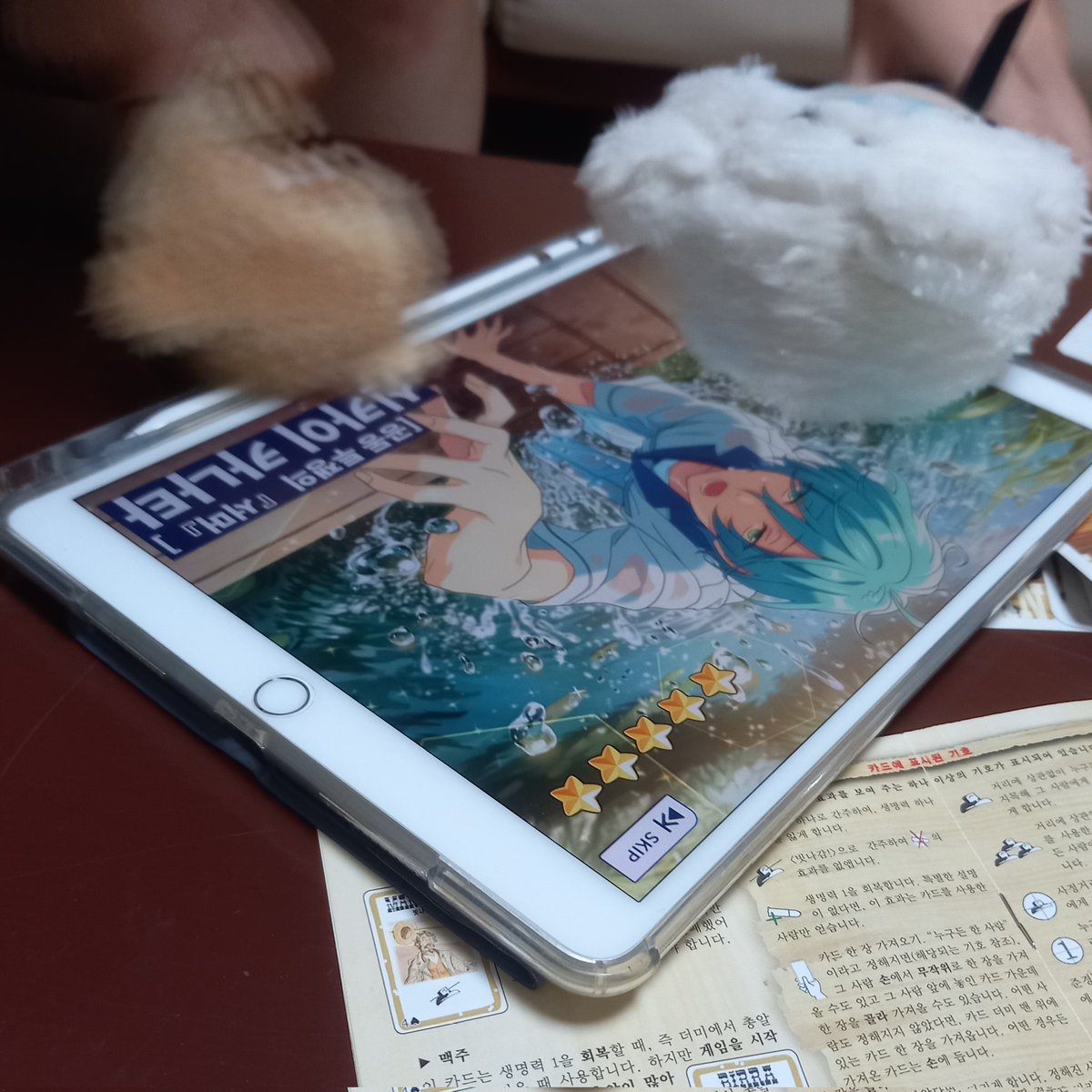 쏨🐚 tweet media