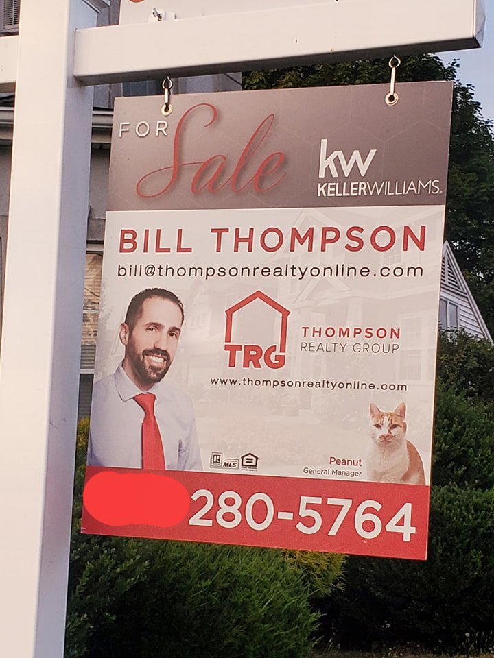 cats with jobs 🛠 (@catworkers) on Twitter photo 