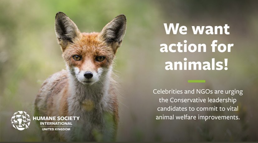 With Monday fast approaching join @HSIUKorg &amp; @ClaireHSI in their call to urge the next Prime Minister <a href="/RishiSunak/">Rishi Sunak</a> /<a href="/trussliz/">Liz Truss</a> 
to support animal welfare issues! 
You can support their call here ⬇️

action.hsi.org/page/110067/ac…