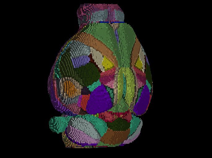 MLabofAI's tweet photo. Legos or 🐭 brain? 🧠 🧱
@AChRD4 is working on seamless integration of @brain_globe #BrainReg with #cellseg3D 🔥🚧✨data courtesy of our awesome collaborators at the @Wysscenter @stephane_pages #openScience https://t.co/DWBEbkm8UC