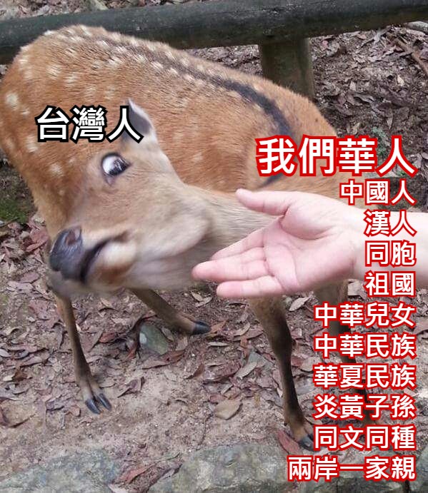 fez7yoe's tweet photo. Yee https://t.co/9RhJSrCIOs