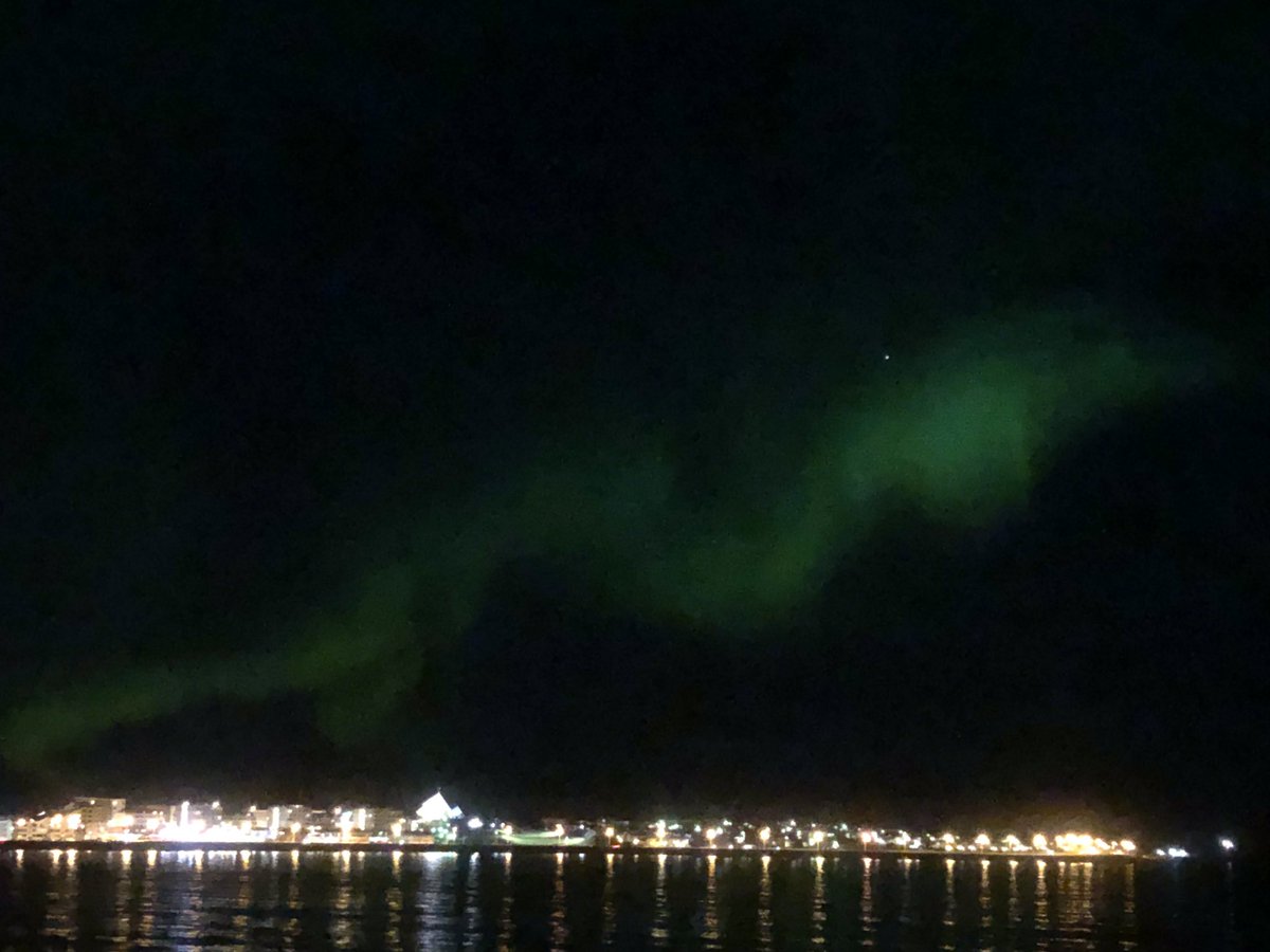 cassidycroci's tweet photo. Got to see the Northern Lights for the first time last night and just had to pop outside my flat! #iceand #northernlights https://t.co/AaMC6uAdh0