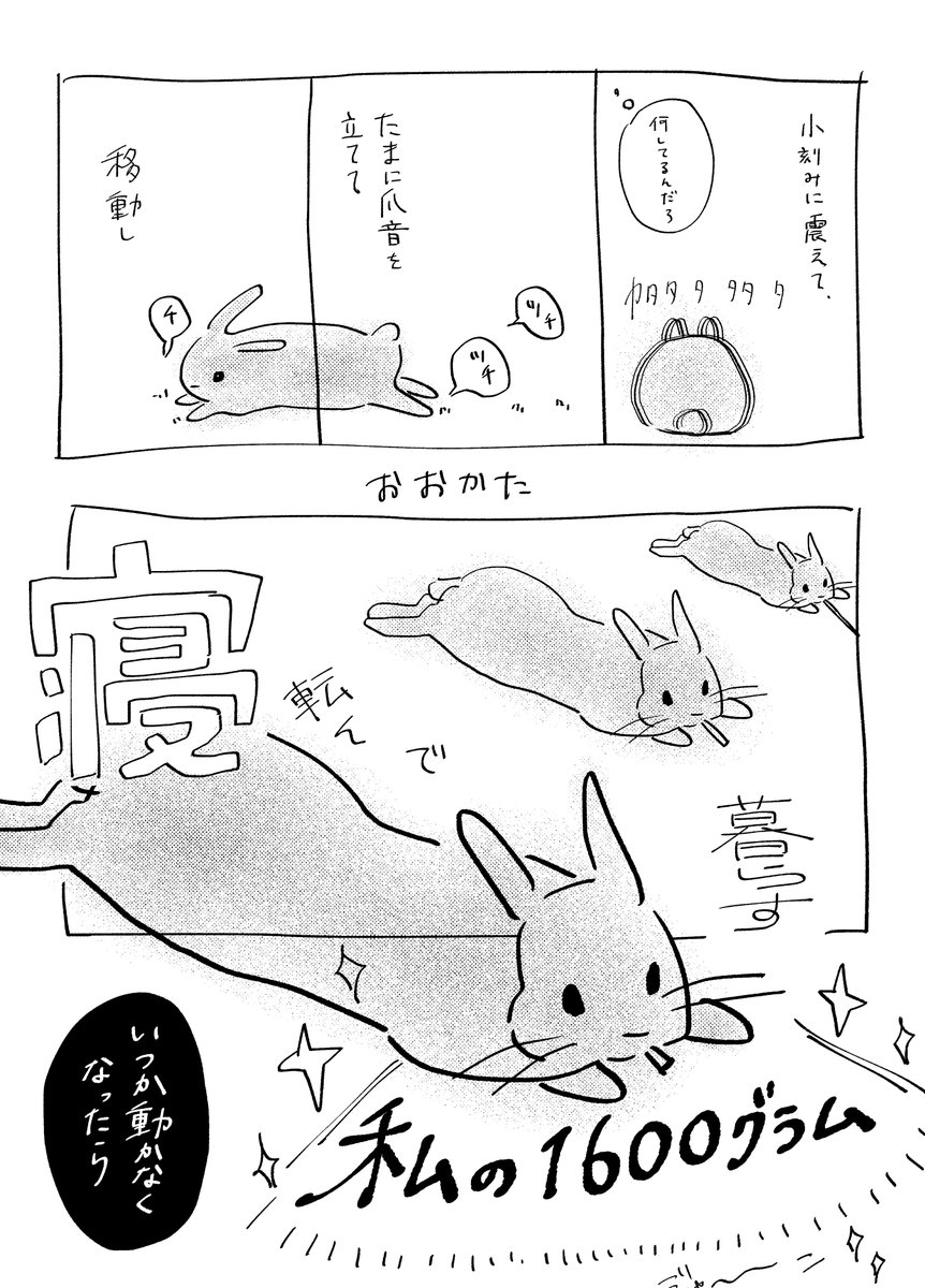 【COMITIA141】新刊サンプル

兎昼夢(うさちゅうむ)
「うさぎがもたらす救いを保存すること」についての漫画と様々な試みの本です。
A5/24p/300円
#COMITIA141 #うさぎ #漫画 