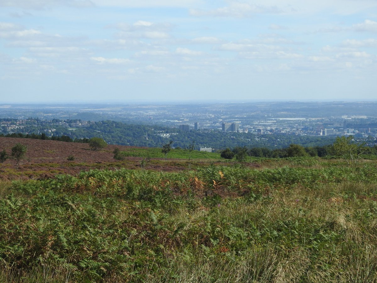 Ian Rotherham tweet media