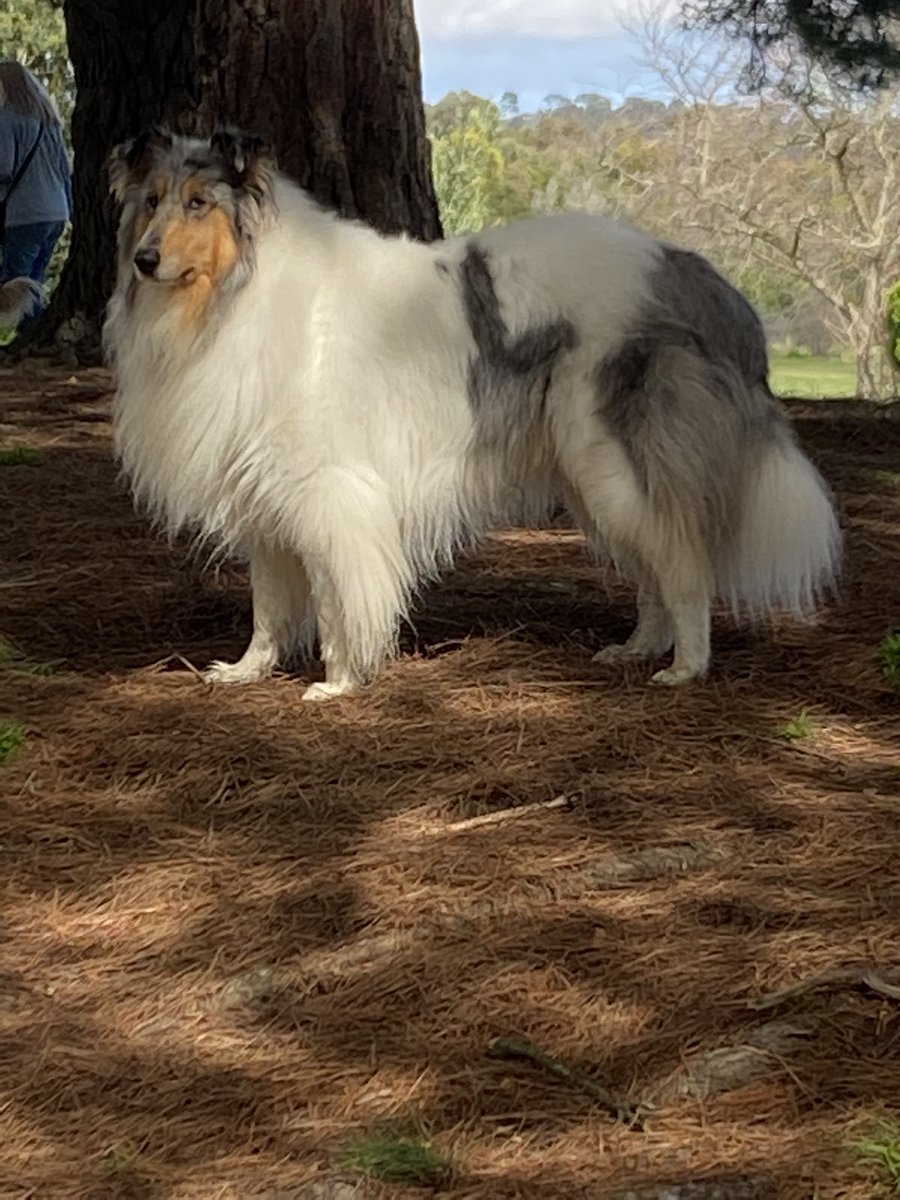 Prof. Jamie Rossjohn tweet media