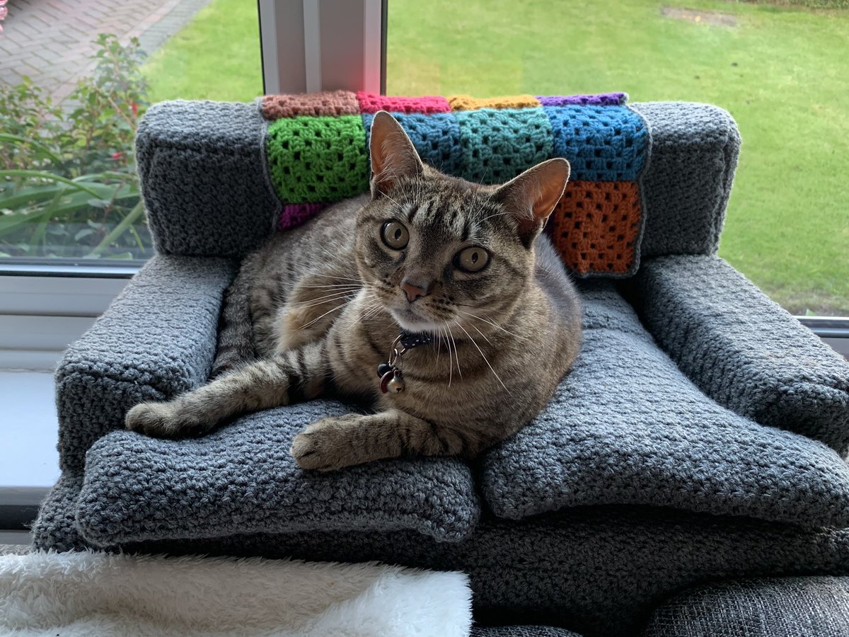 MuddyCuddles tweet media